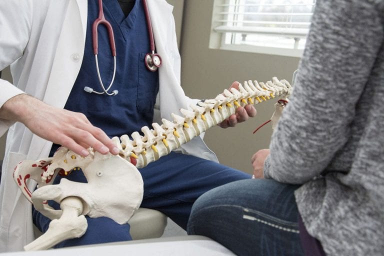 Chiropractors showing displaying spine